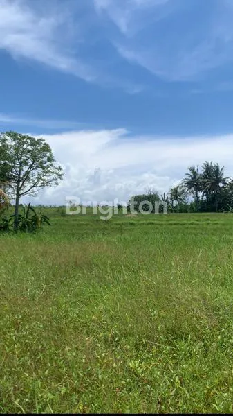 image LAHAN PREMIUM DHARMA RESIDENCE KAVLING EKSKLUSIF DENGAN VIBE RESORT DI TANAH LOT TABANAN (7)