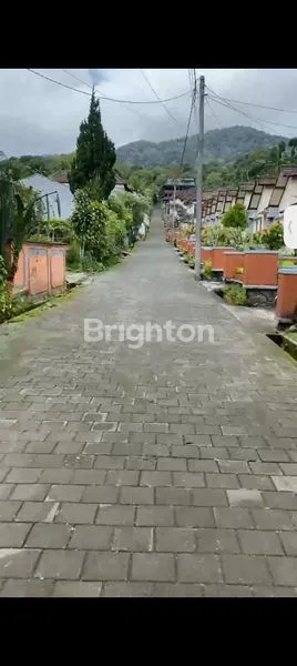 image INVESTASI TANAH PREMIUM DI BEDUGUL, VIEW MEMUKAU (8)