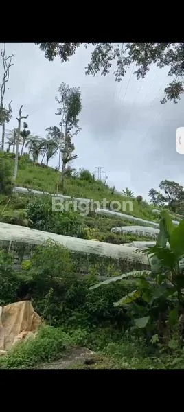 image INVESTASI TANAH PREMIUM DI BEDUGUL, VIEW MEMUKAU (6)