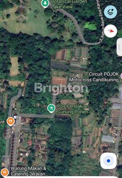 image INVESTASI TANAH PREMIUM DI BEDUGUL, VIEW MEMUKAU (3)