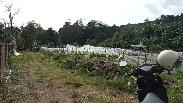 image TANAH POTENSIAL JUAL BEDUGUL (1)