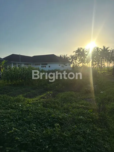 image TANAH SEWA 4 ARE, VIEW SAWAH & SUNSET, DEKAT CANGGU (2)
