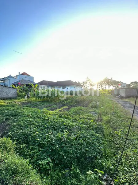 image TANAH SEWA 4 ARE, VIEW SAWAH & SUNSET, DEKAT CANGGU (3)