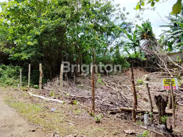 TANAH KAPLING DEKAT GWK SIAP DIBANGUN VILLA
