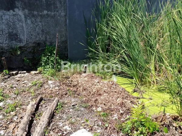 image MEDOKAN SAWAH TANAH SIAP BANGUN 5JT/M² MURAH  (2)