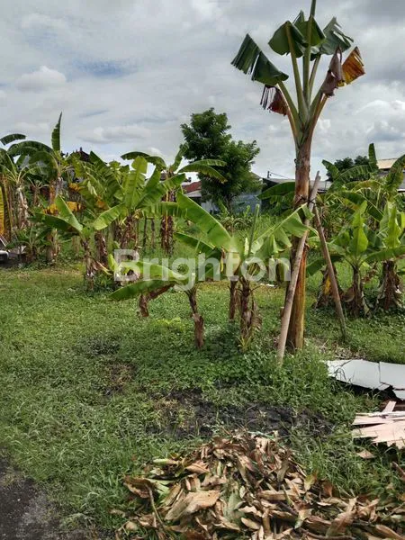 image SEWA LAHAN 23 ARE, SHM, LOKASI STRATEGIS (2)