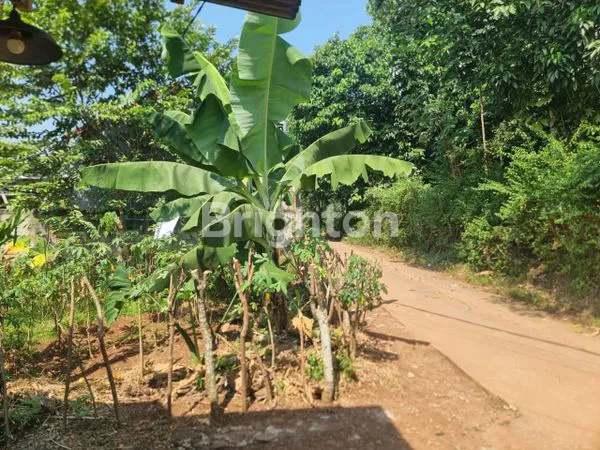image DI JUAL TANAH DI BAWAH HARGA PASARAN DI DAERAH KECAMATAN SETU BEKASI  (1)