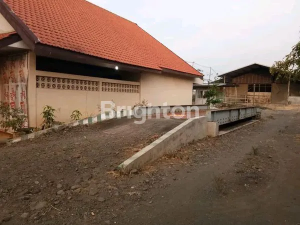 image PETERNAKAN SAPI MODERN DAERAH MOJOKERTO (6)