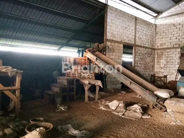 image PETERNAKAN SAPI MODERN DAERAH MOJOKERTO (3)