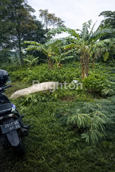 image TANAH DI WANAGIRI (1)