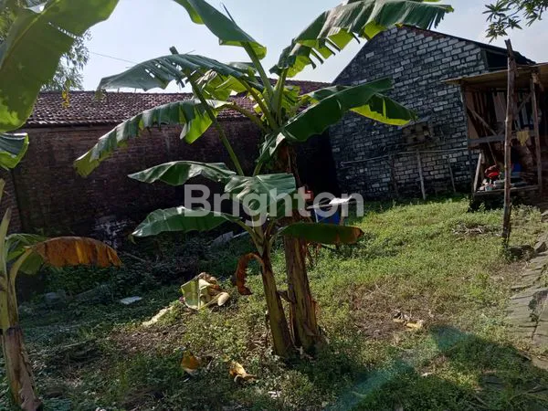 image TANAH DIJUAL  (1)