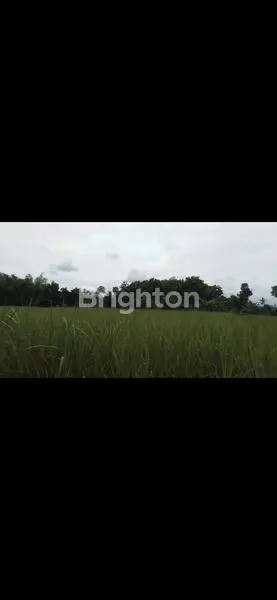 image TANAH LUAS 8973M² DI PANDANLANDUNG, MALANG (2)