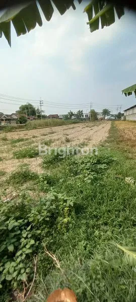 image LAHAN STRATEGIS  SHM 2000 M2 KERING SIAP BANGUN DI RAYA KREMBUNG JASEM NGORO MOJOKERTO  (2)