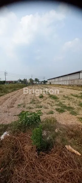image LAHAN STRATEGIS  SHM 2000 M2 KERING SIAP BANGUN DI RAYA KREMBUNG JASEM NGORO MOJOKERTO  (6)