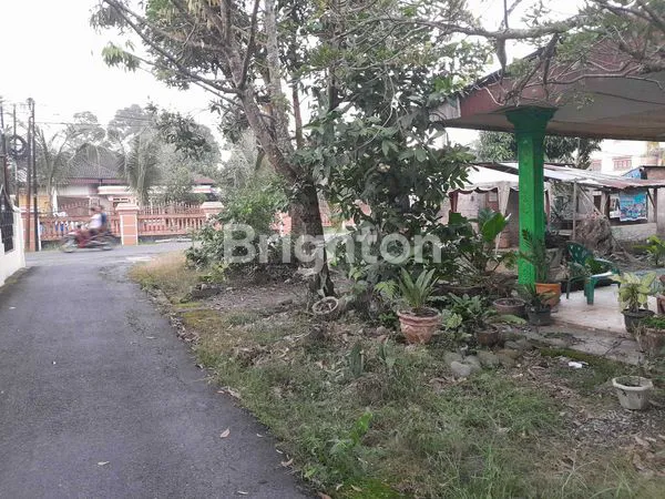 image TANAH LUAS 560M² BONUS RUMAH DI BINJAI (4)