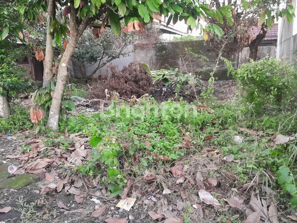 image TANAH LUAS 560M² BONUS RUMAH DI BINJAI (7)