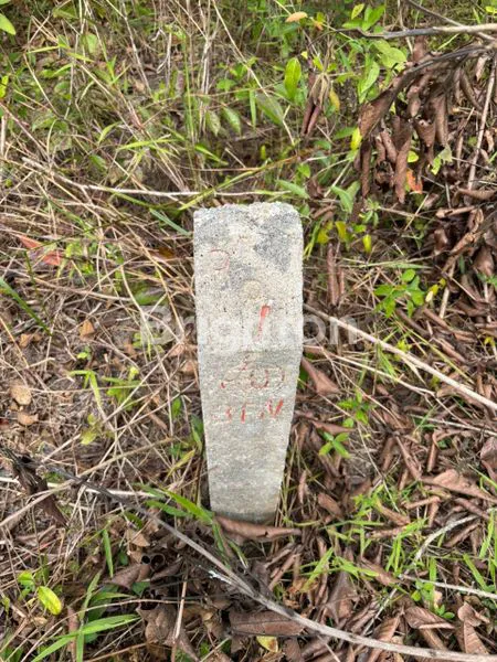 image 4 KAVLING STRATEGIS DEKAT BANDARA BANJARBARU (5)