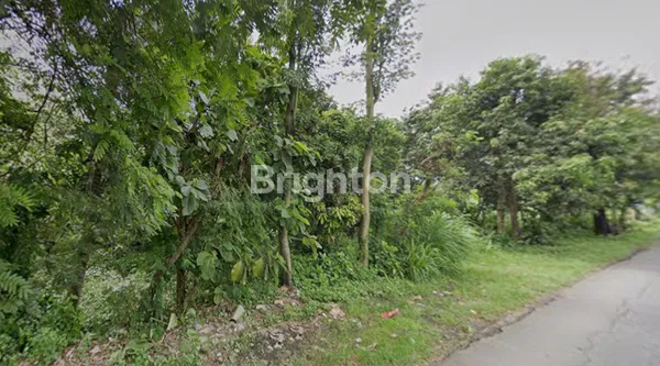 image TANAH SELUAS 2.443 M², LOKASI STRATEGIS 0KM JALAN RAYA (2)