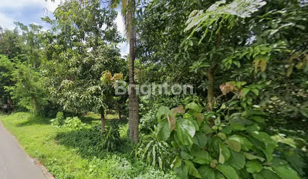 image TANAH SELUAS 2.443 M², LOKASI STRATEGIS 0KM JALAN RAYA (3)