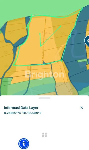 image TANAH POTENSIAL JUAL BEDUGUL (5)