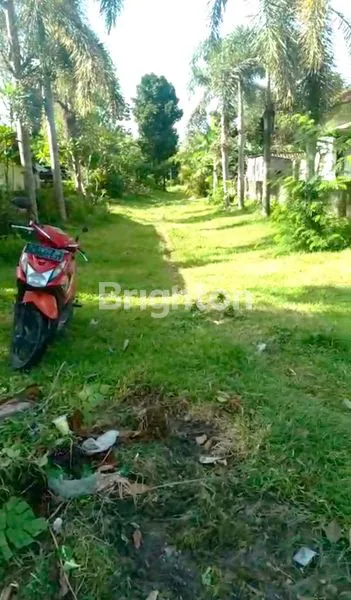 image TANAH STRATEGIS 2.240M² DI JAGUL, HARGA TERJANGKAU (1)