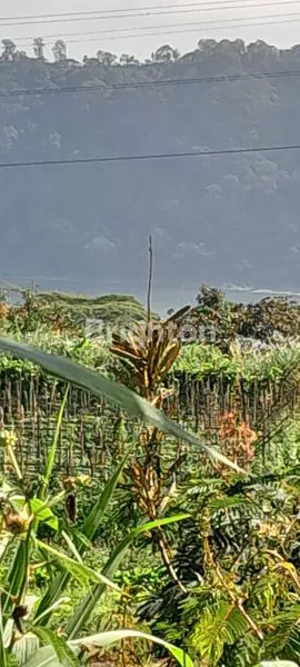 image LAHAN PERKEBUNAN 1,2 HEKTAR DI PANCASARI, VIEW DANAU (5)