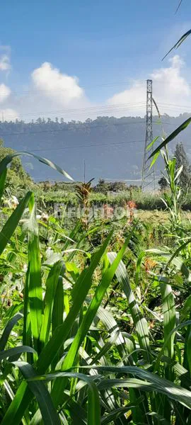 image LAHAN PERKEBUNAN 1,2 HEKTAR DI PANCASARI, VIEW DANAU (2)