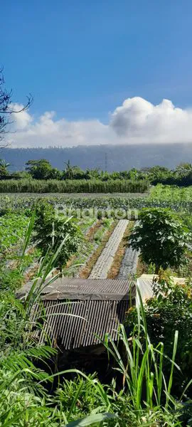 image LAHAN PERKEBUNAN 1,2 HEKTAR DI PANCASARI, VIEW DANAU (3)