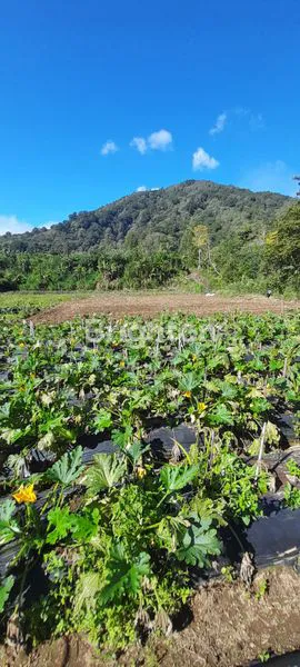 image LAHAN PERKEBUNAN 1,2 HEKTAR DI PANCASARI, VIEW DANAU (1)