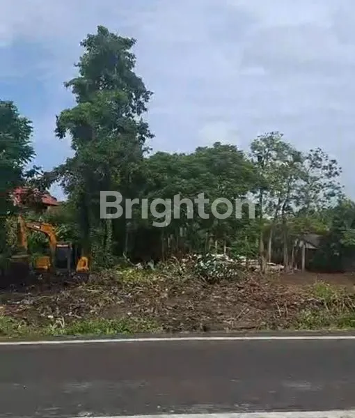 image TANAH PREMIUM PINGGIR JALAN UTAMA DI PERERENAN . (2)