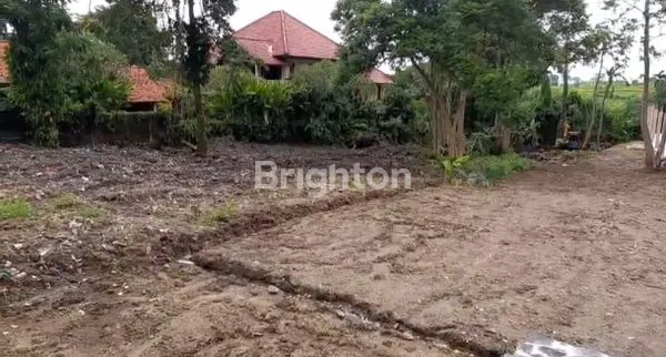 image TANAH PREMIUM PINGGIR JALAN UTAMA DI PERERENAN . (1)