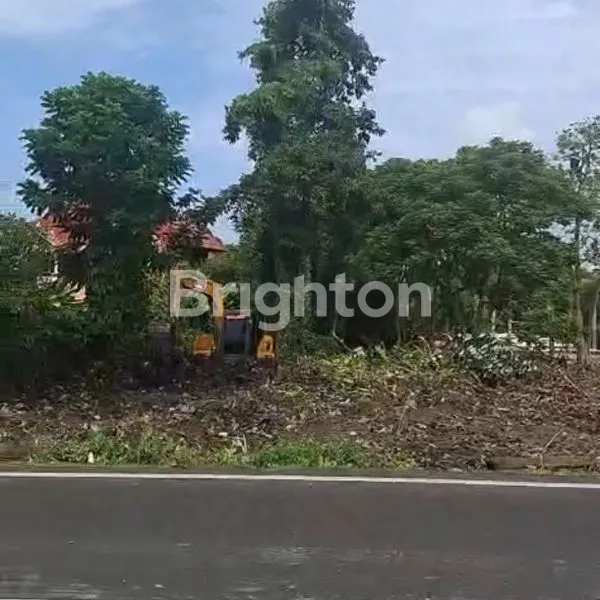 image TANAH PREMIUM PINGGIR JALAN UTAMA DI PERERENAN . (3)
