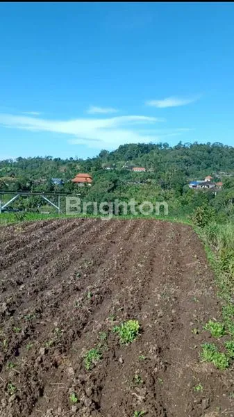 image JUAL TANAH KEBUN  PANORAMA ALAM (1)
