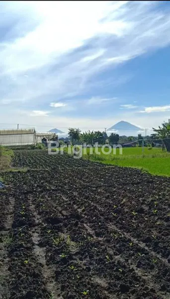 image JUAL TANAH KEBUN  PANORAMA ALAM (3)