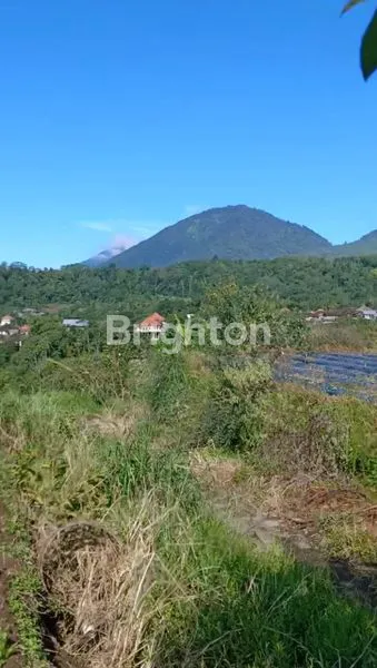image JUAL TANAH KEBUN  PANORAMA ALAM (4)
