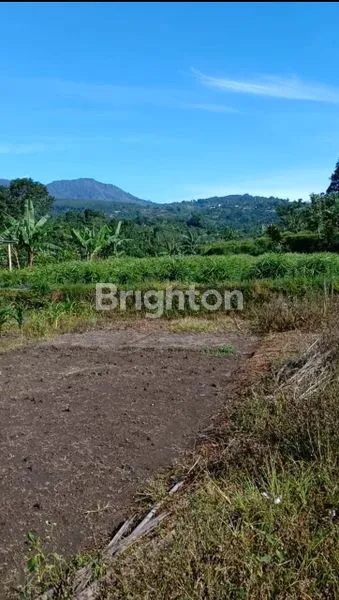 image JUAL TANAH KEBUN  PANORAMA ALAM (2)