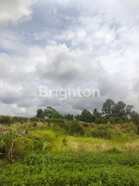 image DI JUAL TANAH DI SINGAKERTA, KECAMATAN UBUD, KABUPATEN GIANYAR (2)