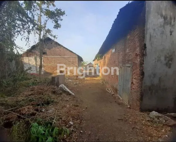 image SEWA GUDANG PASURUAN, LUAS TANAH 600M², AKSES TRUK (6)