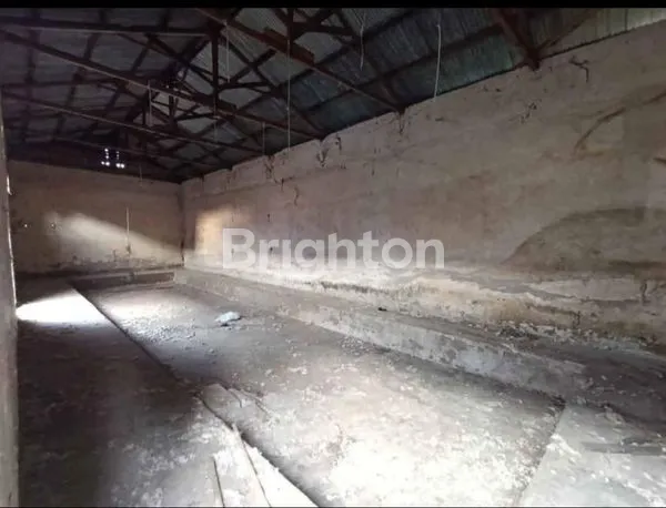 image SEWA GUDANG PASURUAN, LUAS TANAH 600M², AKSES TRUK (2)