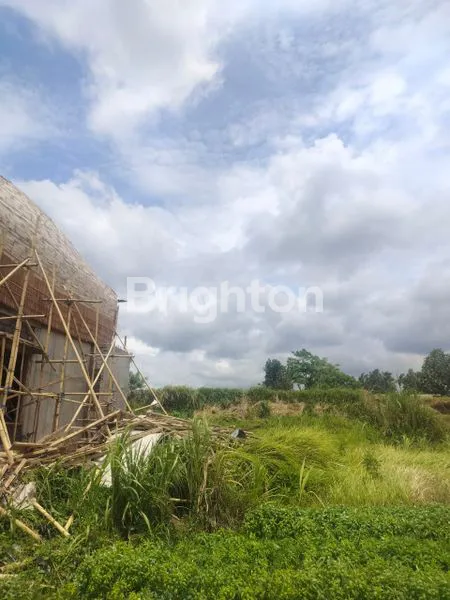 image DI JUAL TANAH DI SINGAKERTA, KECAMATAN UBUD, KABUPATEN GIANYAR (1)