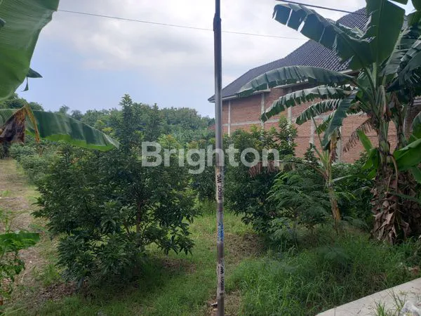 image TANAH SIAP BANGUN SHM 1500M², LOKASI STRATEGIS BEJI (3)