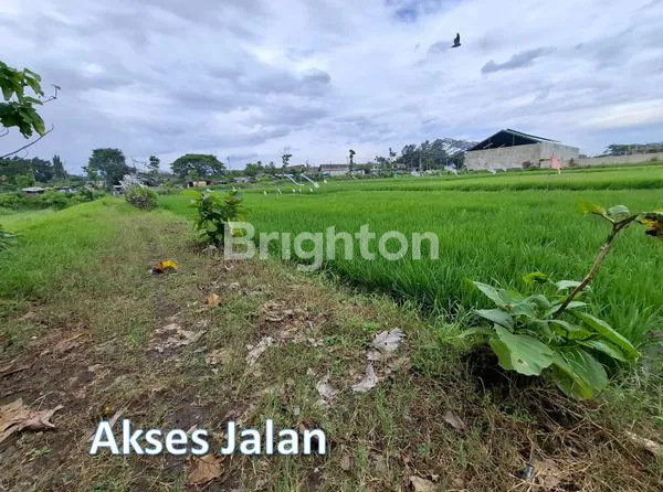 image JUAL TANAH SAWAH SHM STATUS TANAH KERING (4)