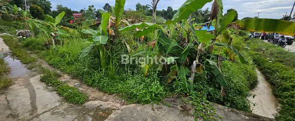 image TANAH DIJUAL (3)