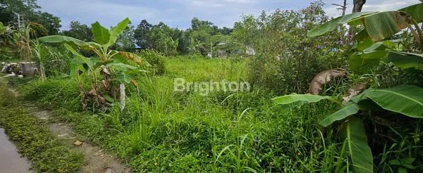 image TANAH DIJUAL (6)