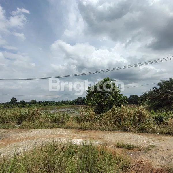 image INVESTASI MENGUNTUNGKAN: TANAH 63.000 M² BERISI SAWIT (2)