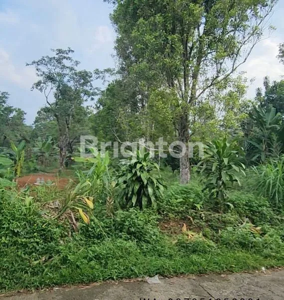 image TANAH LUAS 2,5 HEKTAR DI KALISIDI UNGARAN, COCOK INVESTASI (1)