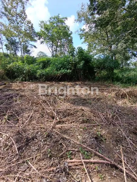 image TANAH DI KOTA MALANG (3)