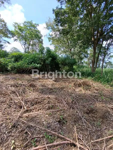 image TANAH DI KOTA MALANG (1)