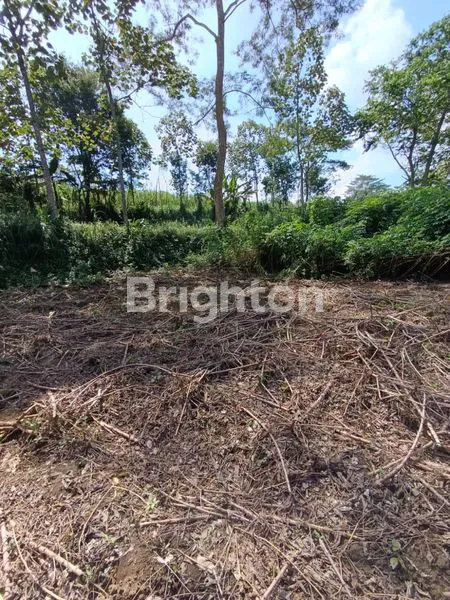 image TANAH DI KOTA MALANG (2)