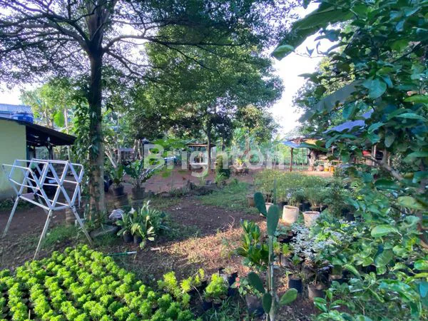 image TANAH STRATEGIS 953M² DI GUNUNG SINDUR, BOGOR (4)